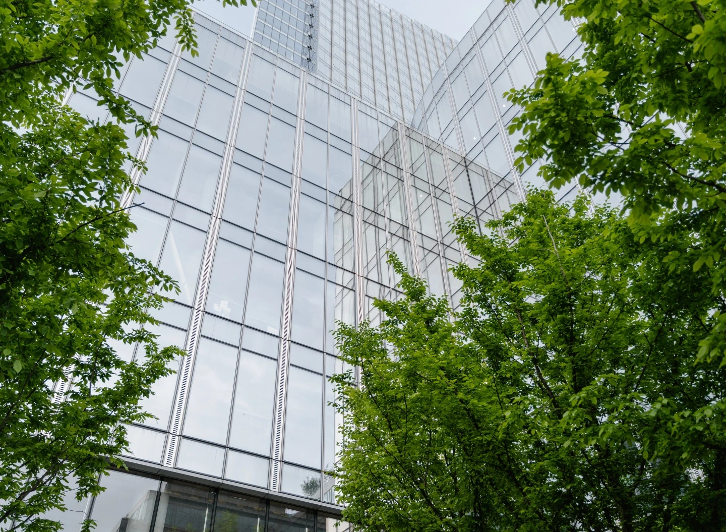 Reinigung von Fensterfronten in Bürogebäuden