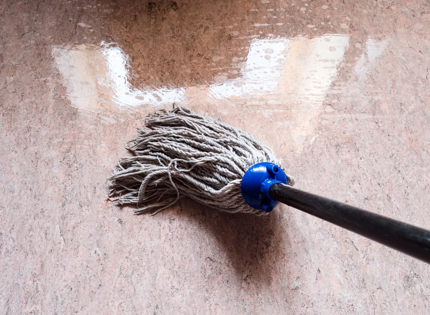 Professionelle Grundreinigung für Allergiker